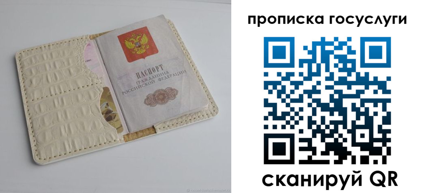 прописка законно в Тимашёвске